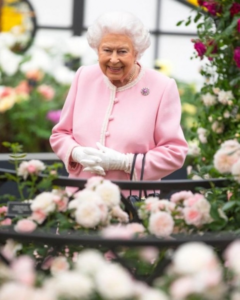 Королева Елизавета II раз в неделю получает подарок от работников Букингемского дворца 