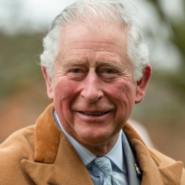 Принц Чарльз выздоровел от коронавируса: будущий монарх вышел из самоизоляции 