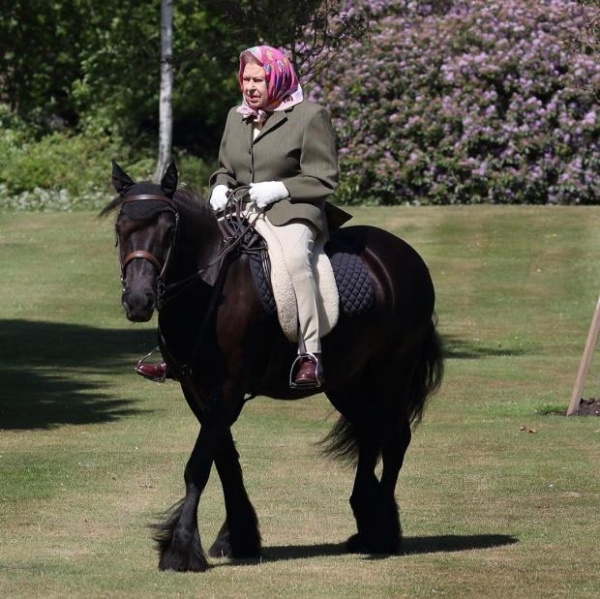 94-летняя Елизавета II верхом на коне: новые фото монарха опубликовал Букингемский дворец 